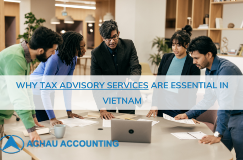 Tax Advisory Services