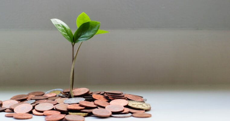 Business loan application and financial statements for SMEs in Vietnam - bank building
